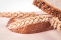 Brown bread & wheat Royalty Free Stock Photo