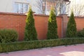 Brown brick fence and green coniferous ornamental trees and bushes on the street by the road