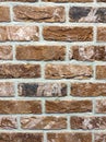 brown brick wall with detailed grooves Royalty Free Stock Photo