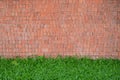brown brick wall textured with green grass Royalty Free Stock Photo