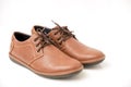 Brown Brogue isolated on a white background Royalty Free Stock Photo