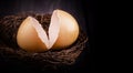 brown broken egg shells in the nest on wooden surface Royalty Free Stock Photo