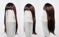 Brown brunette long straight hair wig on mannequin head over white background , set of three Royalty Free Stock Photo