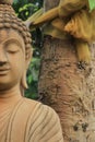 Brown buddha Royalty Free Stock Photo