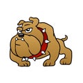 Brown bulldog vector illustration