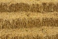 Brown bundle straw stairs Royalty Free Stock Photo
