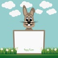 Brown bunny behind board daisy meadow Royalty Free Stock Photo