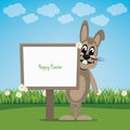 Brown bunny behind sign on spring lawn landscape