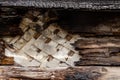Brown burnt wall of house of wooden planks with embossed texture. background for copy space. damage to the building from fire Royalty Free Stock Photo