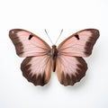 Lifelike Representation Of Pink And Brown Butterfly On White Surface