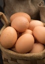 Brown cage-free chicken eggs