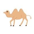 Brown camel with two humps. Hand drawn vector illustration isolated on white background