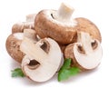 Brown cap champignons with slices of champignon mushroom isolated on white background. Close-up