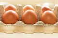 Brown cardboard box with fresh red eggs on a white background. Royalty Free Stock Photo