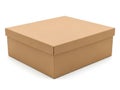Brown cardboard box isolated on white background Royalty Free Stock Photo