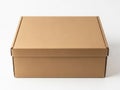 Brown cardboard box isolated on white background Royalty Free Stock Photo