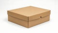 Brown cardboard box with lid closed on white background Royalty Free Stock Photo