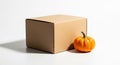 Brown Cardboard Box with Orange Pumpkin on White Background Royalty Free Stock Photo