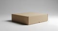 Brown cardboard box on white background Royalty Free Stock Photo