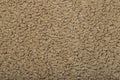 Brown carpet background. Gray carpet with texture on the surface. Materials and items for interior design of rooms and houses Royalty Free Stock Photo