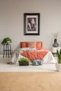 Brown carpet in front of red bed with pillows in grey bedroom interior with plants and poster