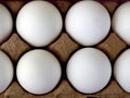 Brown Carton Eggs Royalty Free Stock Photo