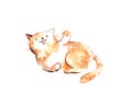 Brown cartoon watercolor illustration cat waving its paw with co