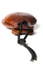 Brown Castanets Royalty Free Stock Photo