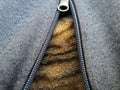 Brown cat`s fure under the grey jacket Royalty Free Stock Photo