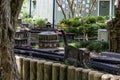 A brown cat walking along side of miniature train tracks surrounded by tiny homes and green trees, grass and plants