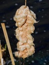 Brown cattails with fluffy seeds in winter, macro close-up detailed view in Indianapolis Indiana White River State Park. Typha gen