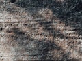 cave wall stone texture for nature background. Royalty Free Stock Photo