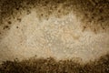 Brown cement floor texture background Enter text Royalty Free Stock Photo