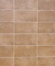 Brown ceramic tiles with white fugue on wall