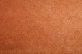 Brown chamois texture, fluffy background. Royalty Free Stock Photo