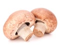 Brown champignon mushroom Royalty Free Stock Photo