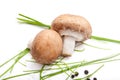 Brown champignon mushroom, with parsley, salt, pepper, white background