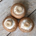 Brown champignon mushroom on a wooden background Royalty Free Stock Photo