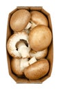 Brown champignons, whole, raw and young mushrooms, in a paper tray Royalty Free Stock Photo