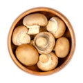 Brown champignons, brown mushrooms, in a wooden bowl, from above Royalty Free Stock Photo