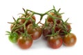 Brown cherry ripe tomatoes