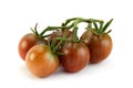 Brown cherry ripe tomatoes isolated
