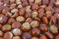 Chestnuts