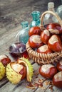 Brown chestnuts in basket and vials with tincture on old table