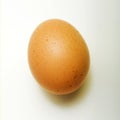 Brown Chicken Egg