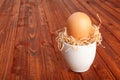 Brown chicken egg arranged in a cup with dried straw Royalty Free Stock Photo