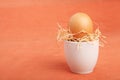 Brown chicken egg arranged in a cup with dried straw Royalty Free Stock Photo