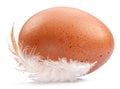 Brown chicken egg and chicken feather isolated on white background Royalty Free Stock Photo