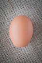 Brown chicken egg Royalty Free Stock Photo