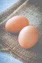 Brown chicken egg Royalty Free Stock Photo